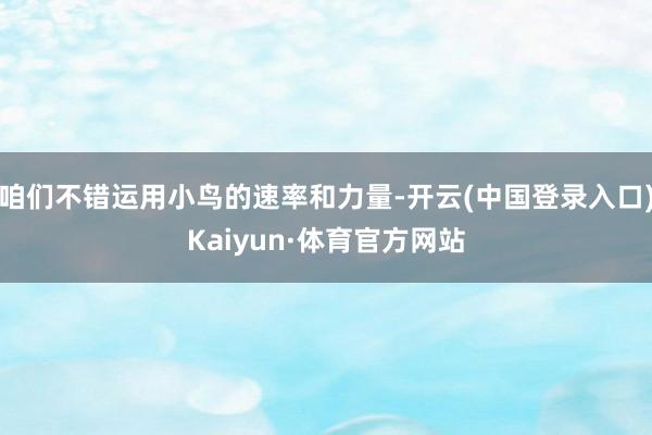 咱们不错运用小鸟的速率和力量-开云(中国登录入口)Kaiyun·体育官方网站