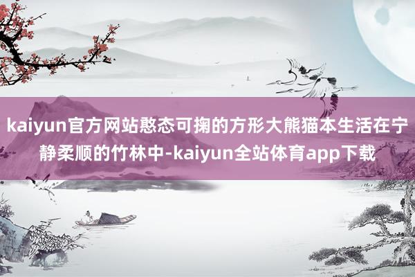 kaiyun官方网站憨态可掬的方形大熊猫本生活在宁静柔顺的竹林中-kaiyun全站体育app下载