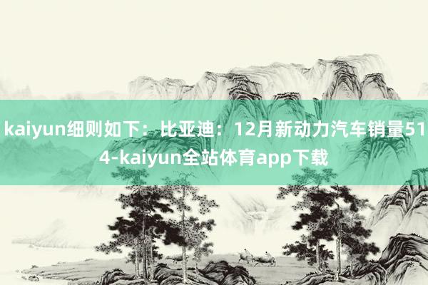 kaiyun细则如下：比亚迪：12月新动力汽车销量514-kaiyun全站体育app下载