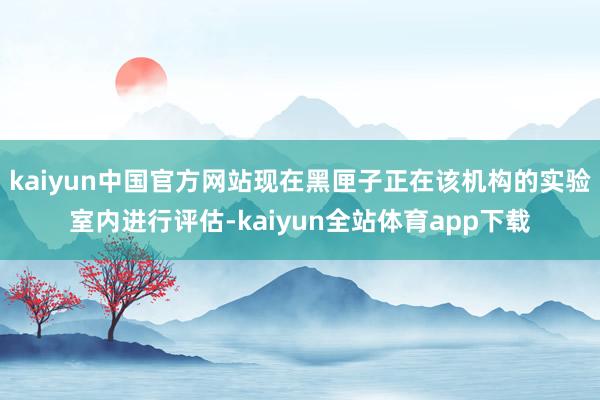 kaiyun中国官方网站现在黑匣子正在该机构的实验室内进行评估-kaiyun全站体育app下载