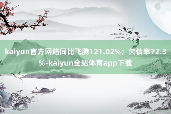 kaiyun官方网站同比飞腾121.02%；欠债率72.3%-kaiyun全站体育app下载