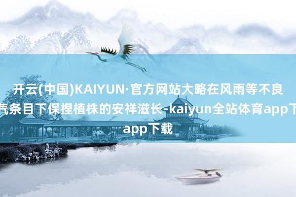 开云(中国)KAIYUN·官方网站大略在风雨等不良天气条目下保捏植株的安祥滋长-kaiyun全站体育app下载