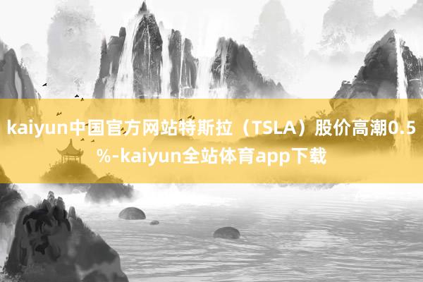 kaiyun中国官方网站特斯拉(TSLA)股价高潮0.5%-kaiyun全站体育app下载